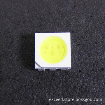 5050 SMD LED Warm White Color